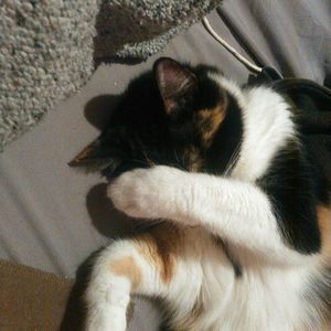 Meet your Posher, Kendra